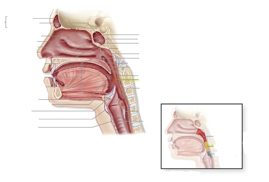 <p>what is this </p>