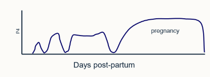 <p>What does this graph represent?</p>