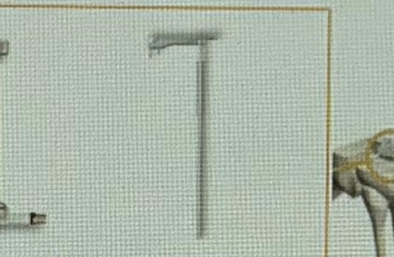 term image