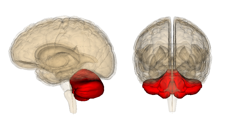 <p>What’s this?</p>