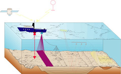 <p>The charting of the shape or topography of the ocean floor</p>