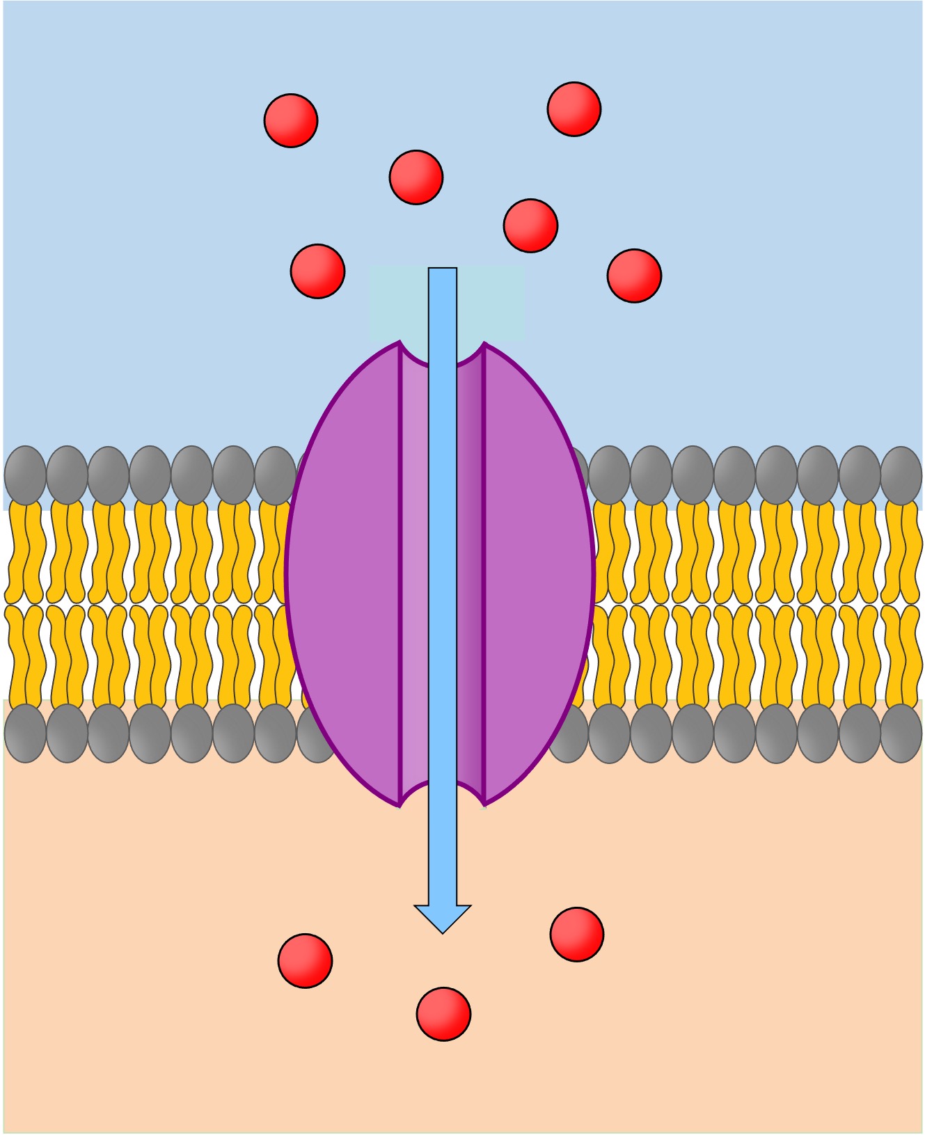 <p>What is this an example of?</p>