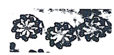 <p>Verankering van ciliën en flagellen, structureel vrijwel identiek aan een centriool (9 tripletten microtubuli). Functioneel uitwisselbaar met centriolen: centriolen kunnen evolueren naar basaalkorrels en omgekeerd.</p>