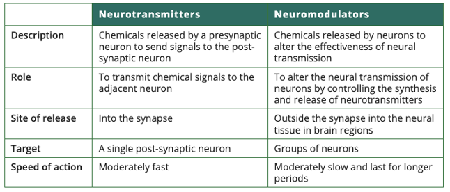 <p><strong>Neuromodulators:</strong> Chemical molecules that influence multiple postsynaptic neurons and modulate overall neural transmission. <span style="background-color: white; line-height: 115%;">increasing/decreasing responsiveness of many neurons to neurotransmitter action potentials. Released in a slower, diffuse manner. </span><span style="line-height: 115%;">Must bind to their specific receptor sites to influence&nbsp;postsynaptic neurons.</span></p><p><span><strong>Neurotransmitters: </strong></span>Chemical molecules that influence transmission of neural information across synapses.</p>