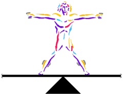 <p>maintenance of a relatively constant internal environment</p>