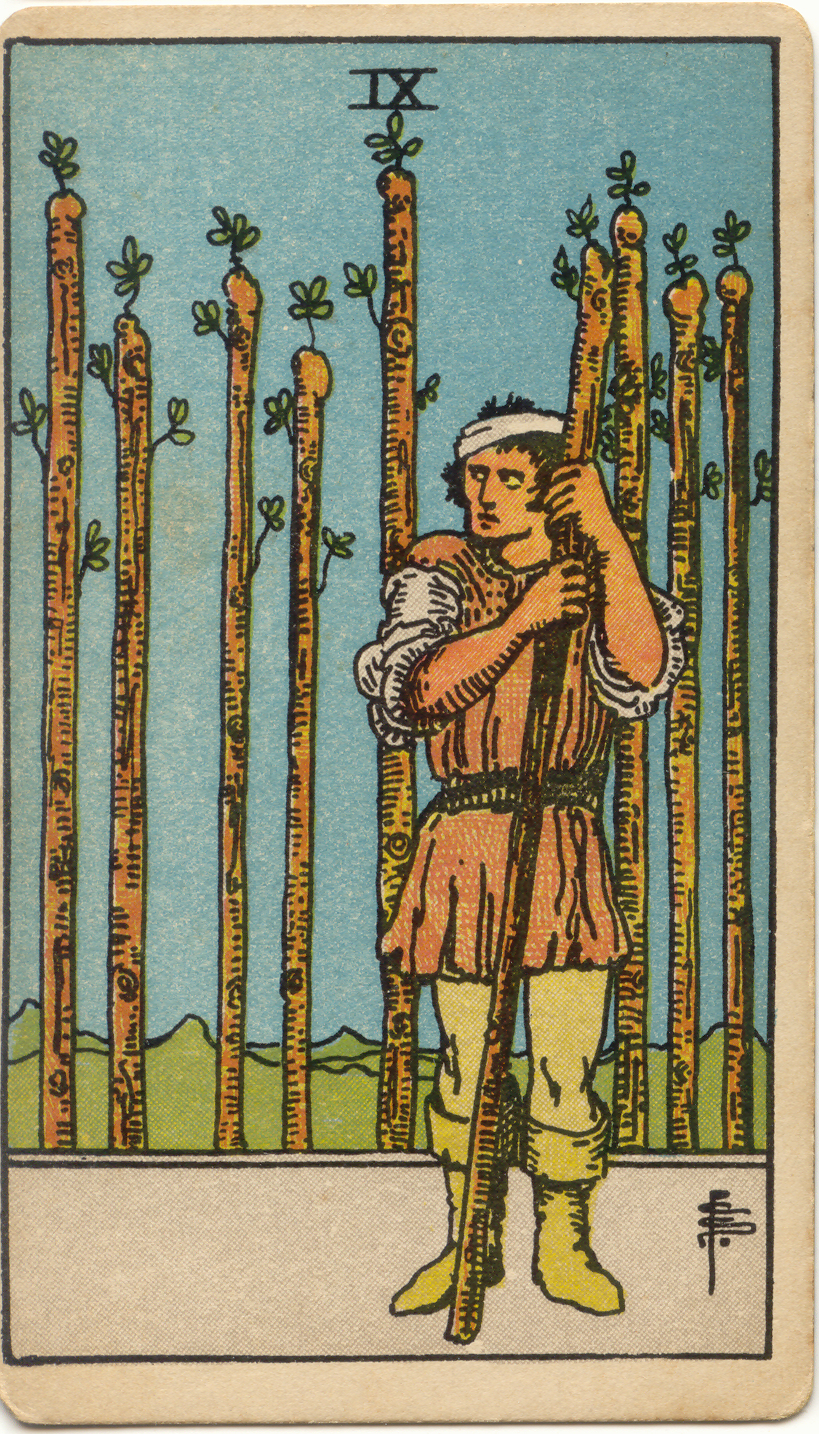 <p>Nine of Wands</p>