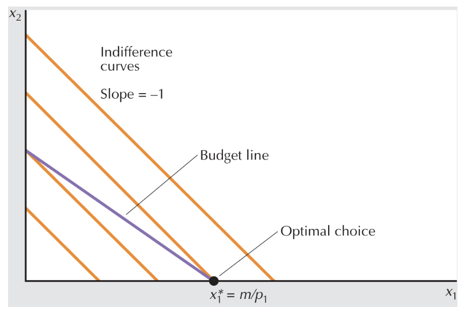 <p>perfect substitutes budget line and IC’s </p>