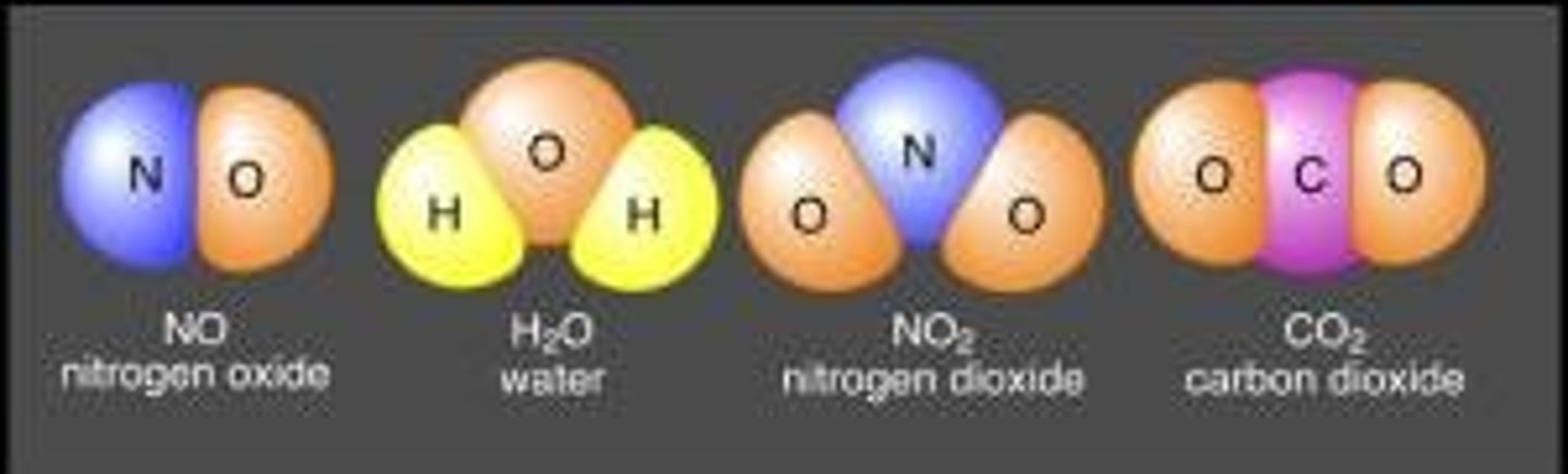 <p>Substances made up of a fixed ratio of elements</p>