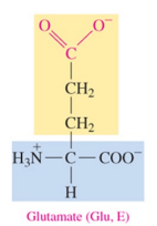 <p>polar acidic amino acid with carboxylate as R group </p>