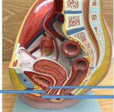<p>name the parts</p>