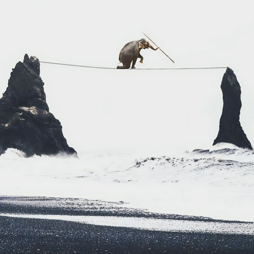 <p>(der) Vorsatz, -ä..e</p>