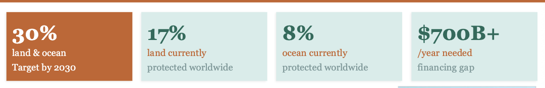 <p><span style="color: rgb(255, 254, 254);">The Global Agreement: At COP15 (2022), </span></p><ul><li><p><span style="color: rgb(255, 254, 254);">196 nations signed the Kunming Montreal Agreement, the most ambitious global biodiversity deal in history, committing to protect 30% of land and ocean by 2030.</span></p></li></ul><p></p>
