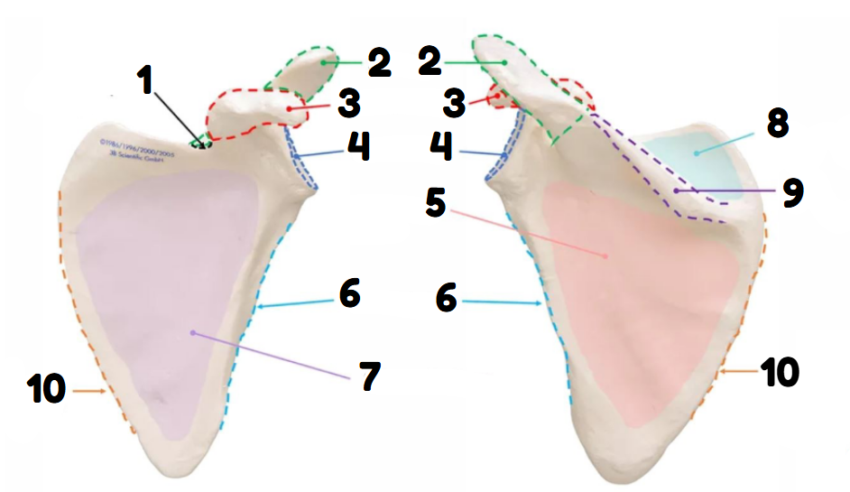 <p>2</p>