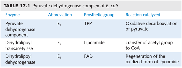 <p>pyruvate dehydrogenase (E1) - decarboxylation w/ TPP</p><p>dihydrolipoyl transacetylase (E2) - transfer to CoA</p><p>dihydrolipoyl dehydrogenase (E3) - oxidation of lipoamide</p>