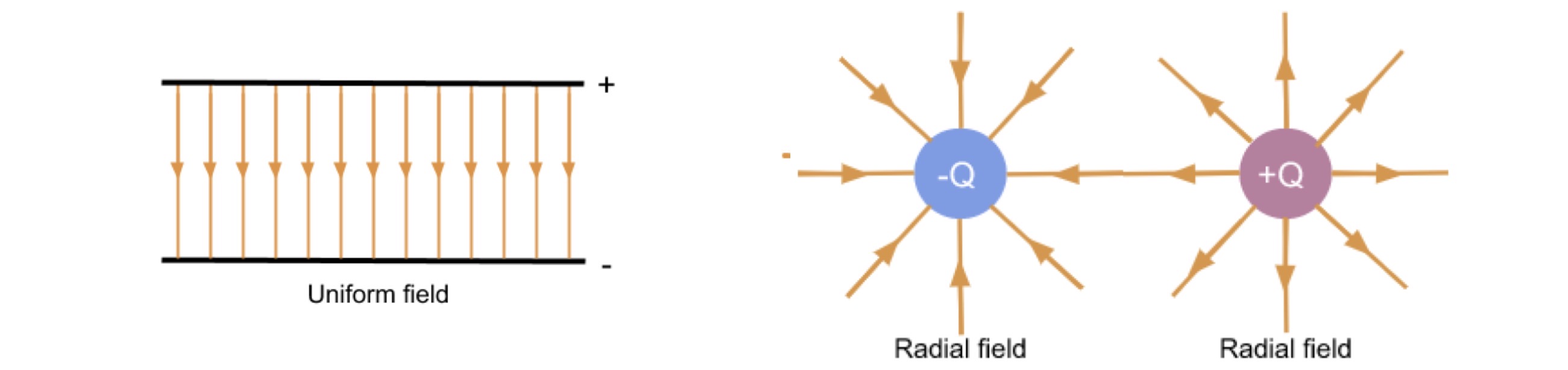 <p>uniform or radial</p>