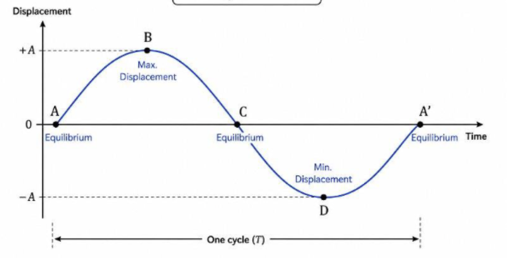 <ul><li><p>A = equilibrium (0 degrees)</p></li><li><p>B = max positive displacement (90 degrees)</p></li><li><p>C = equilibrium (180 degrees)</p></li><li><p>D = max negative displacement (270 degrees)</p></li><li><p>E = equilibrium (360 degrees)</p></li></ul><p></p>