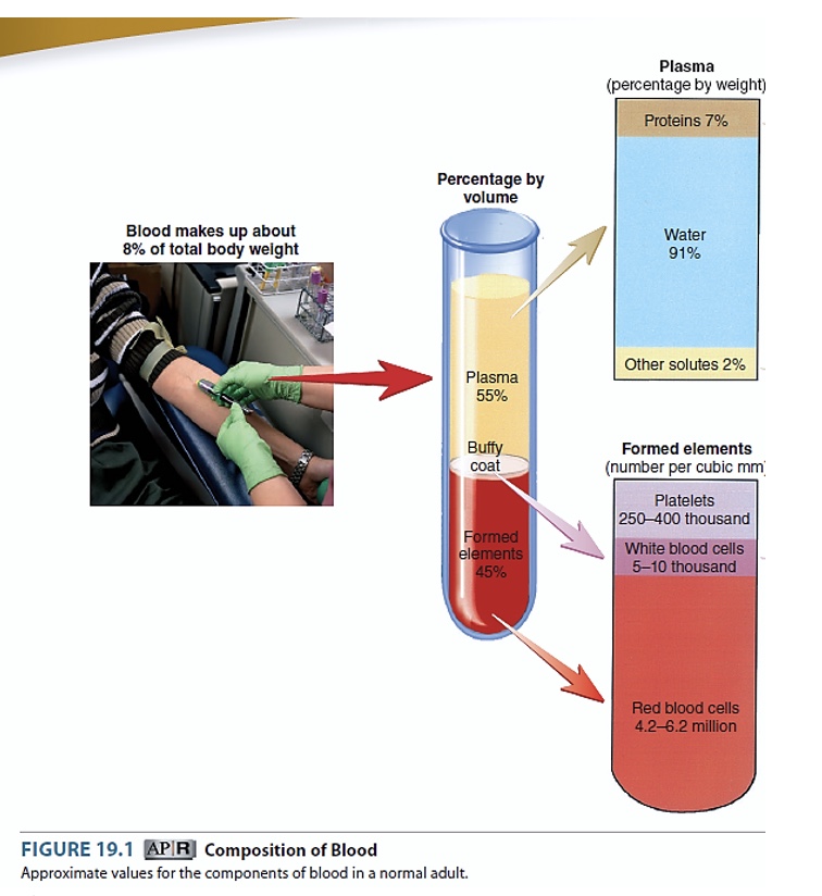 <p><span style="font-family: "Calibri Light", sans-serif; line-height: 120%;">Blood consists of plasma and formed elements (red blood cells, white blood cells and platelets).</span></p>