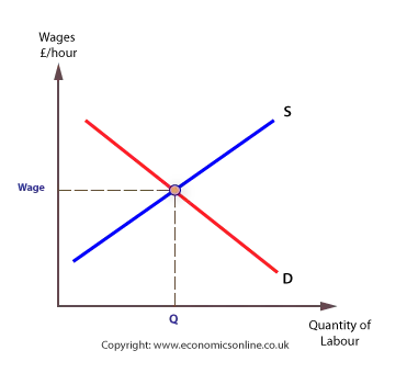 <p>How is wage determined in a perfectly competitive labour market?</p>