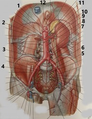 <p>3</p>