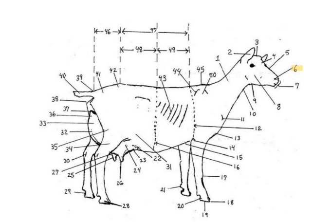 knowt flashcard image