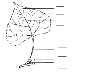 <p>5</p>