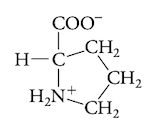 <p>hydrophobic aa</p>