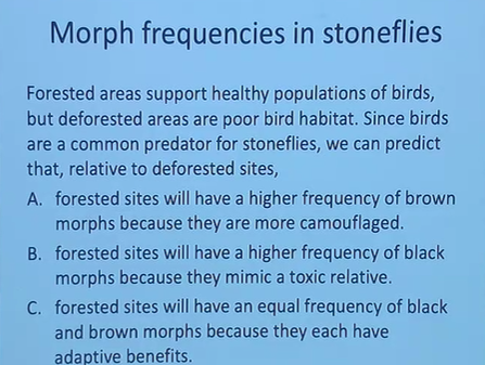 <p>case study quesiton</p>