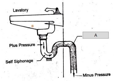 <p><span style="line-height: 1.5;">Identify "A" in the figure</span><br><span style="line-height: 1.5;">main vent</span></p><p><span style="line-height: 1.5;">drain pipe</span></p><p><span style="line-height: 1.5;">waste pipe</span></p><p><span style="line-height: 1.5;">soil pipe</span></p>
