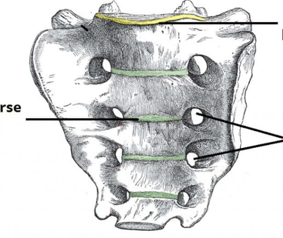 <p>What are the holes called? </p>