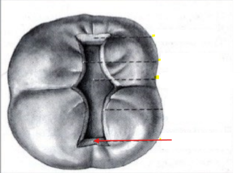 knowt flashcard image