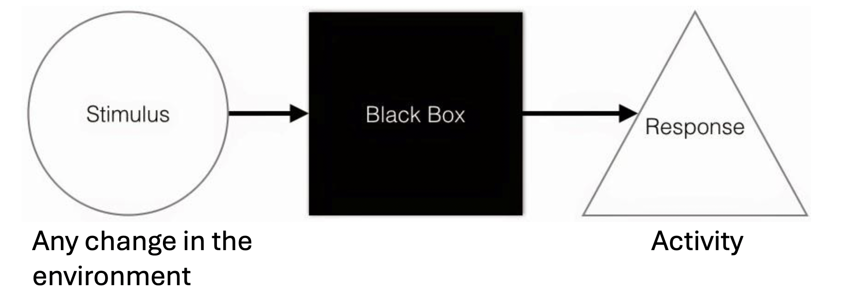 <ul><li><p>focused on what was believed that the mind and mental processes could not be easily examines</p><ul><li><p>contrast with psycoanalysis just behaviour and how its affect by enviornment</p></li></ul></li><li><p><strong>WATSON AND SKINNER</strong></p></li></ul><p></p>