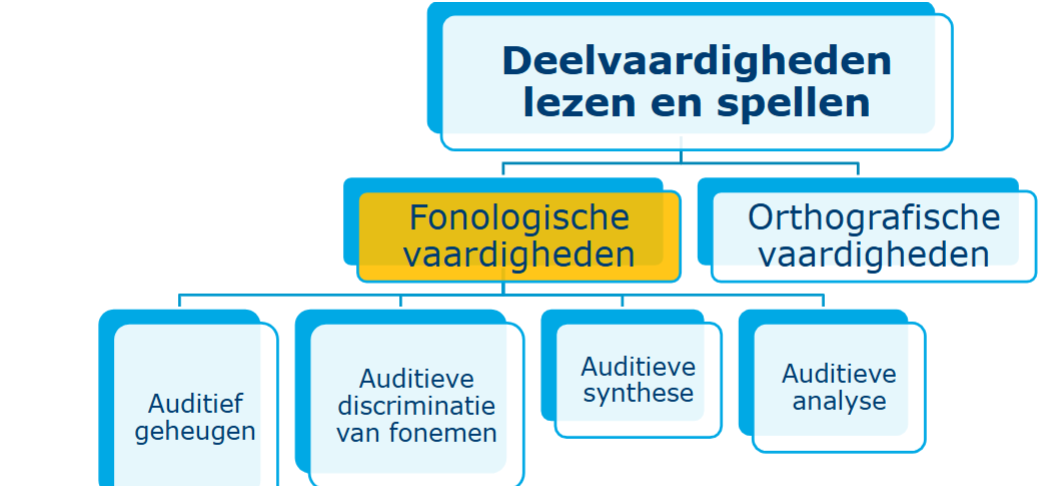 <p>fonoligsche vaardigheden </p><p>Het vermogen om met klanken in taal om te gaan, zoals rijmen, klanken herkennen en woorden opdelen in klanken. Deze vaardigheden zijn belangrijk voor leren lezen en schrijven.</p><p><strong>Auditief geheugen</strong><br>Het vermogen om wat je hoort tijdelijk op te slaan en later weer op te roepen, zoals woorden of klanken.</p><p><strong>Auditieve discriminatie van fonemen</strong><br>Het vermogen om kleine verschillen tussen klanken (fonemen) in woorden te horen en te onderscheiden.</p><p><strong>Auditieve synthese</strong><br>Het samenvoegen van losse klanken tot een geheel woord dat je herkent.</p><p><strong>Auditieve analyse</strong><br>Het opdelen van een woord in afzonderlijke klanken die je kunt herkennen en benoeme</p>