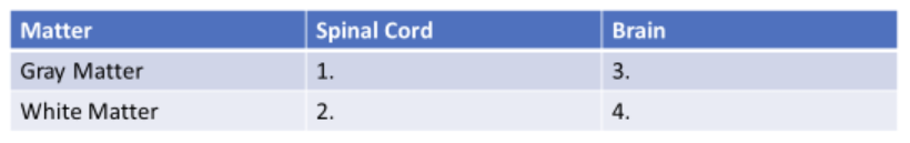 <p><span>Provided the chart below where would #1 be located?</span></p>