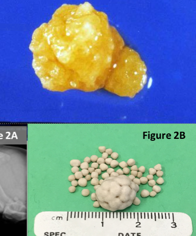 <p>what is this?</p>