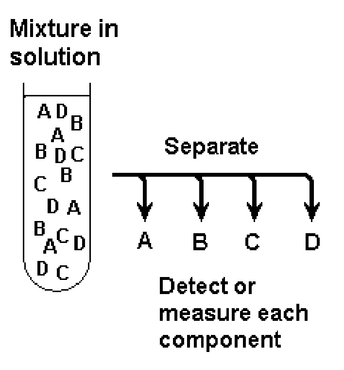 <ul><li><p><span>Amino acid analysis helps to determine protein structure </span></p><ul><li><p><span>Separation of a mixture into components</span></p></li><li><p><span>Detection of the components of interest</span></p></li></ul></li><li><p><span>Can be qualitative (tells you what is present)</span></p></li><li><p><span>Can be quantitative (tells you how much is present)</span></p></li><li><p><span>Can be preparative (separated components can be recovered for further experiments)</span></p></li></ul><p></p>