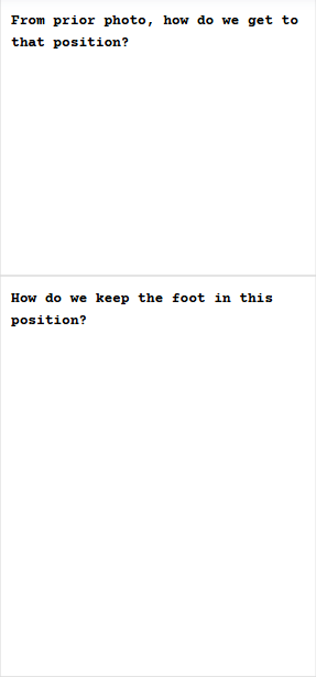 <p>Hoof Tester Application &amp; Percussion</p>