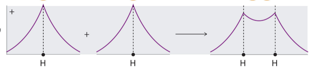 <p>waves reinforce each other, resulting in bonding </p>