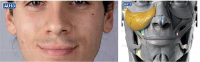 <ul><li><p>sharp lip puller </p></li><li><p>smile with lips </p></li></ul><p></p>