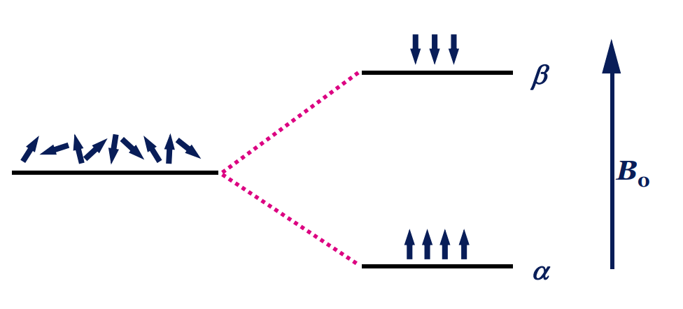 <p>a) <span>α; </span>low energy </p><p><span>b) β; high energy</span></p>