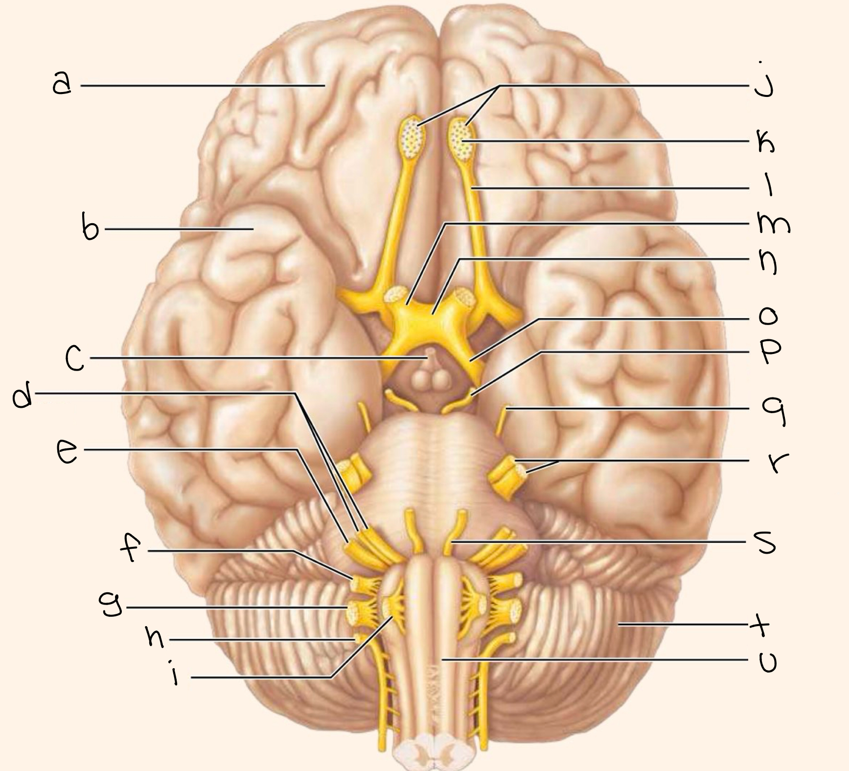 <p>label picture </p>