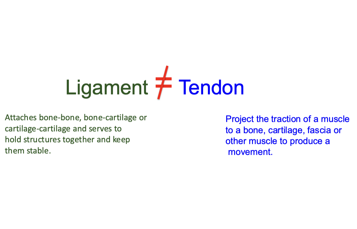 term image