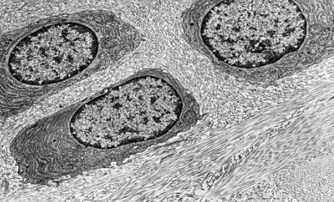 <p>What is shown here?</p>