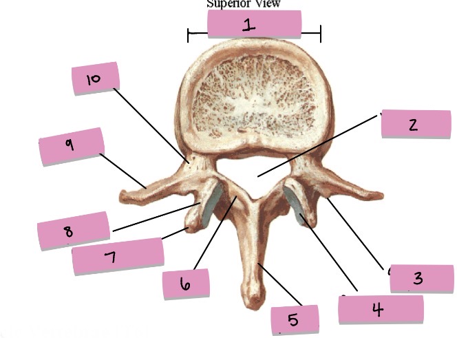 <p>What is 4 pointing to?</p>