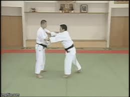 <p>Hip sweep </p>
