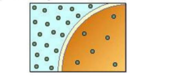 <p>¿A qué tipo de solución corresponde la imagen 46 (donde el agua sale y la célula se encoge)?</p>