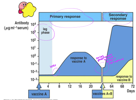 <p>KNOW THIS GRAPH</p>