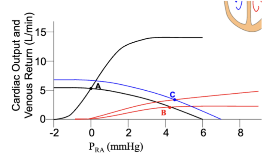 <p>What is C?</p>
