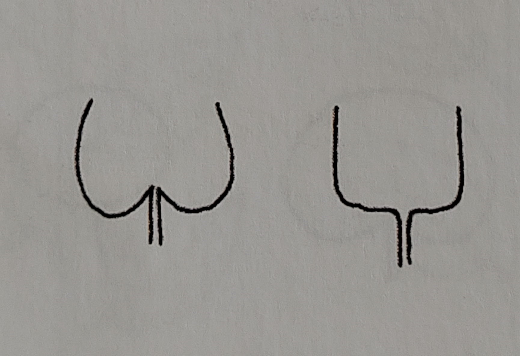 <p></p>