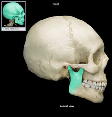 <p>Identify this part</p>