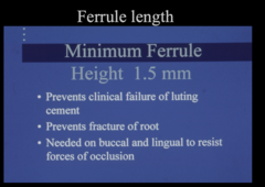 <p>B - PREVENTS fracture of root</p>
